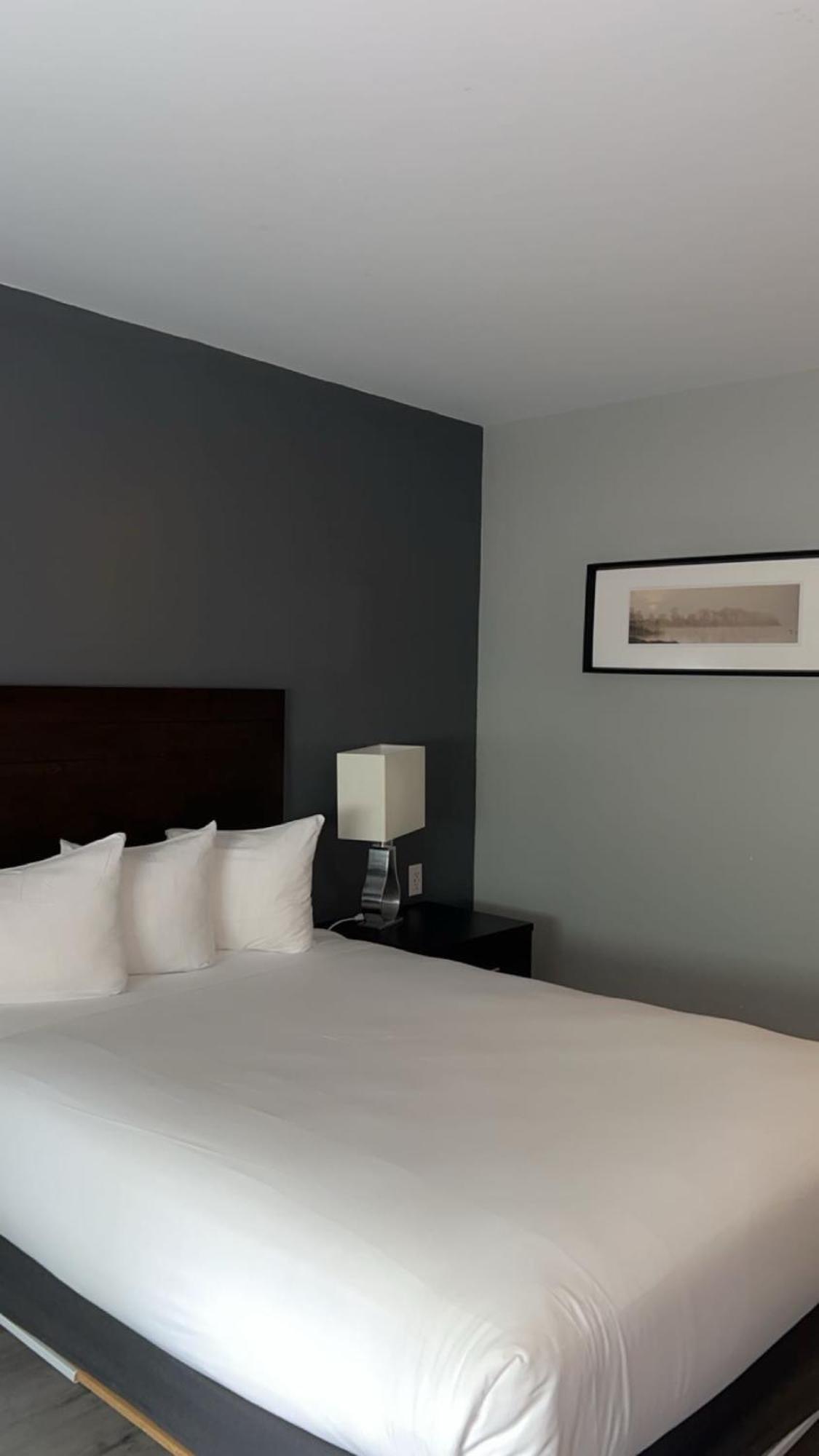 Hotel Newstar Montréal Extérieur photo