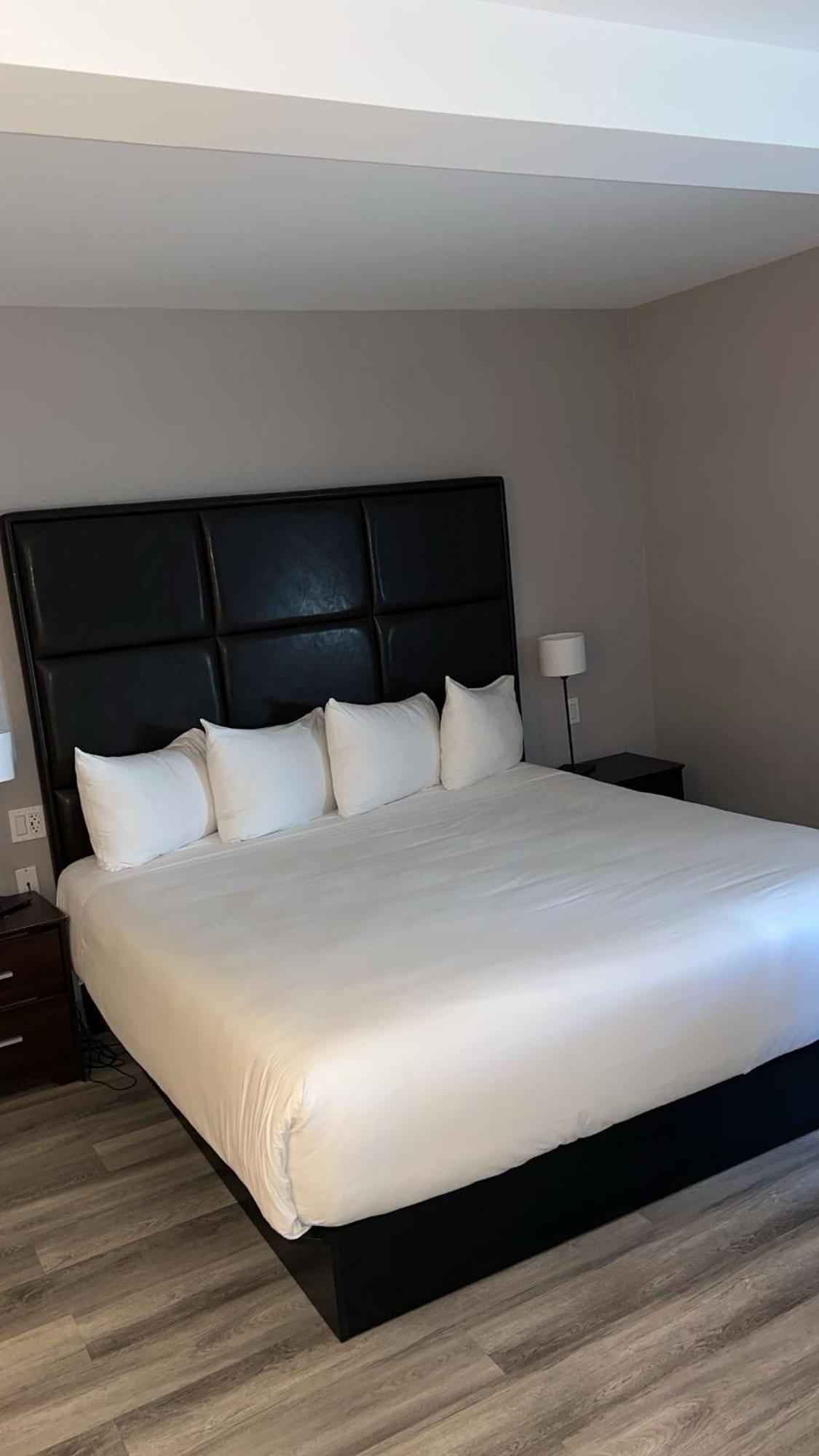 Hotel Newstar Montréal Extérieur photo